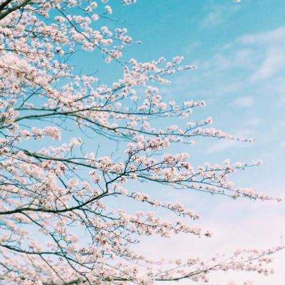 久游棋牌手机app下载